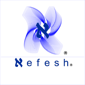 Inicio de colaboración con Nefesh en la realización de cursos